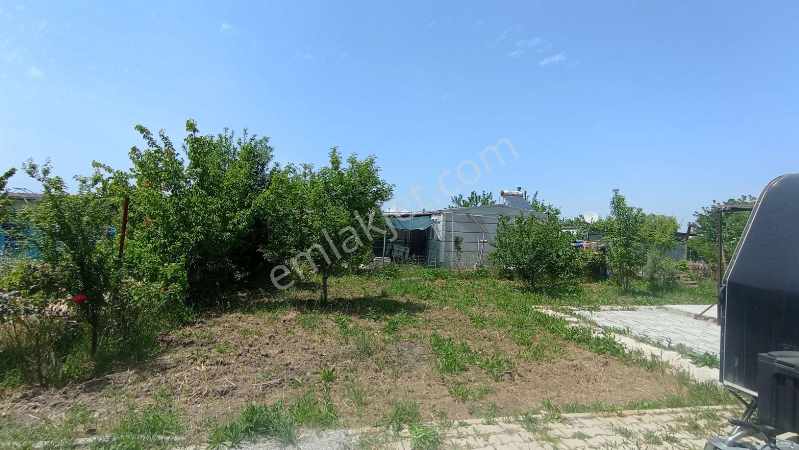 Menderes Çilemede Ana Caddeye Yakın Satılık Bahçe - Görsel 5