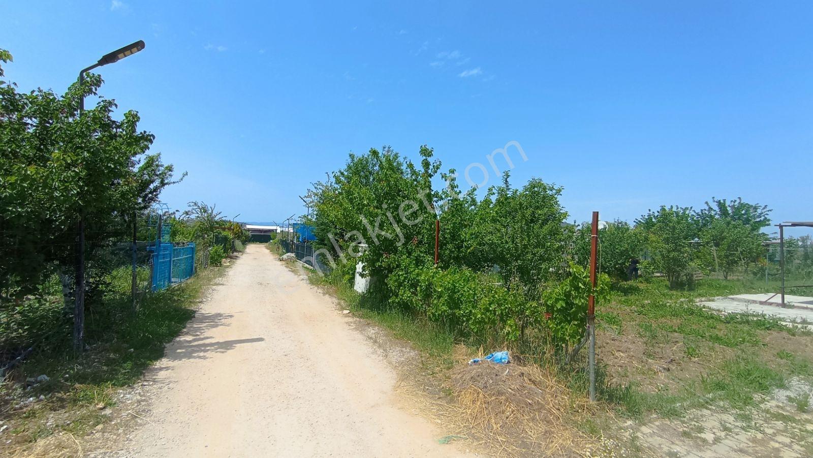 Menderes Çilemede Ana Caddeye Yakın Satılık Bahçe - Görsel 7