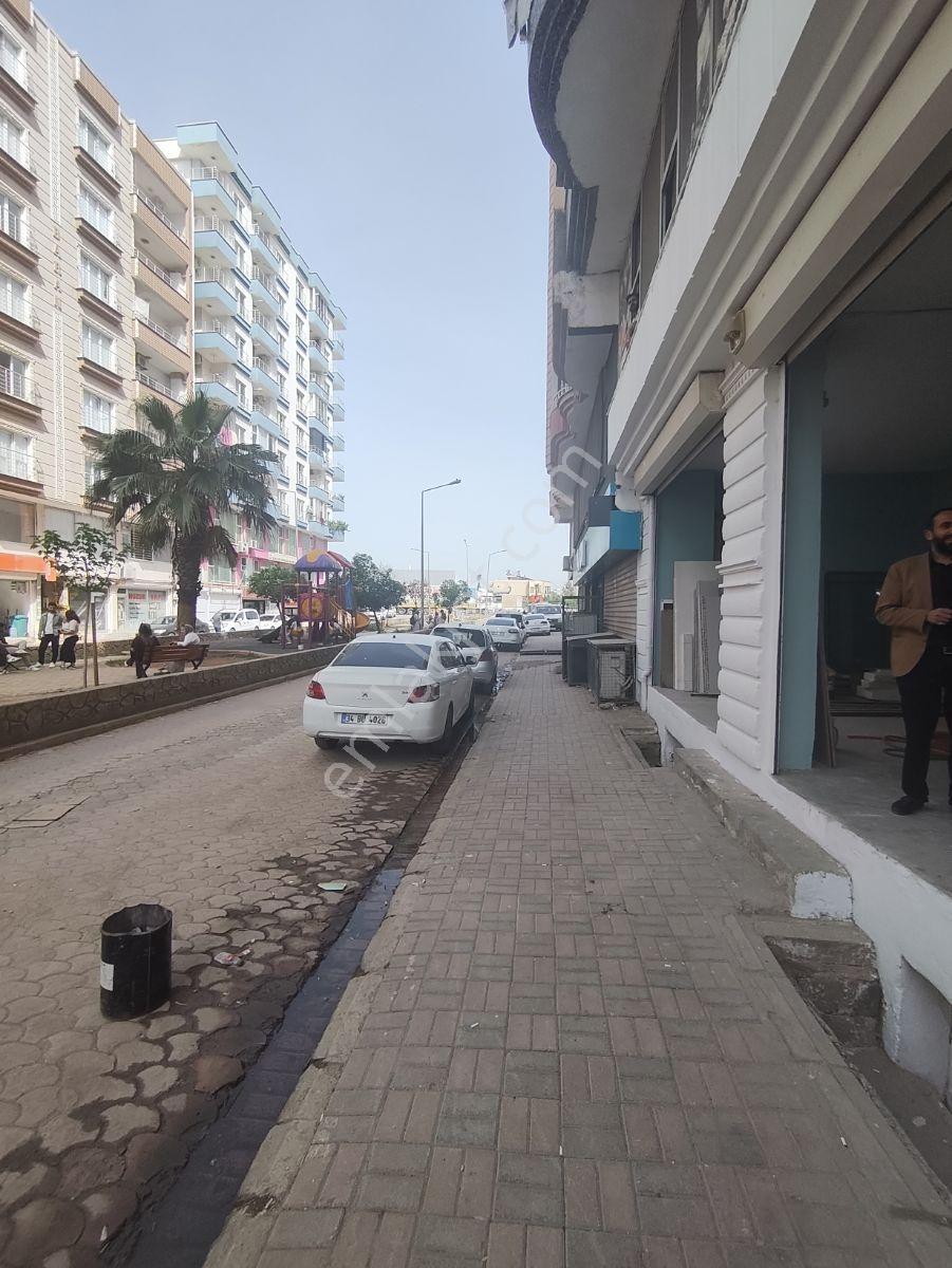 Satılık 200 M2 Dükkan İşyeri Kızıltepe Cumhuriyet Mahallesi - Görsel 11