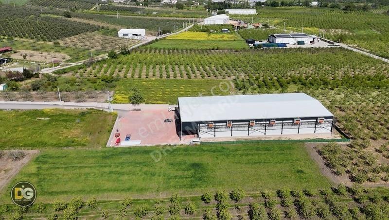 Bursa Aksungur Soğuk Hava Deposu Son Sistem Tam Donanım Sıfır - Görsel 12