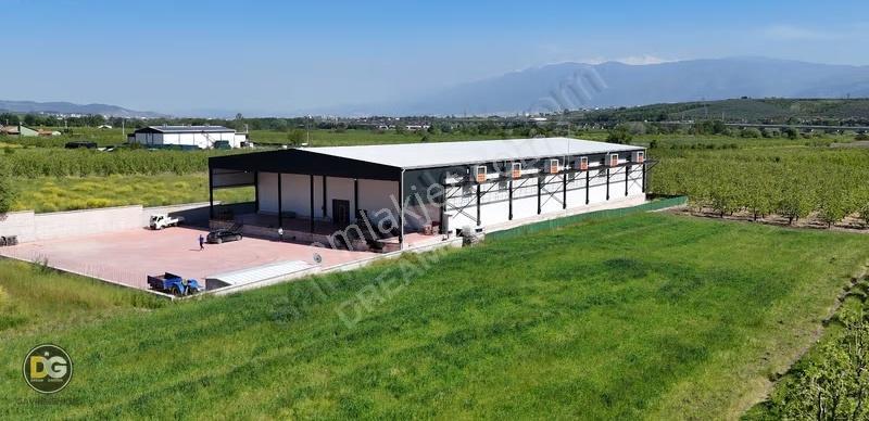 Bursa Aksungur Soğuk Hava Deposu Son Sistem Tam Donanım Sıfır - Görsel 13