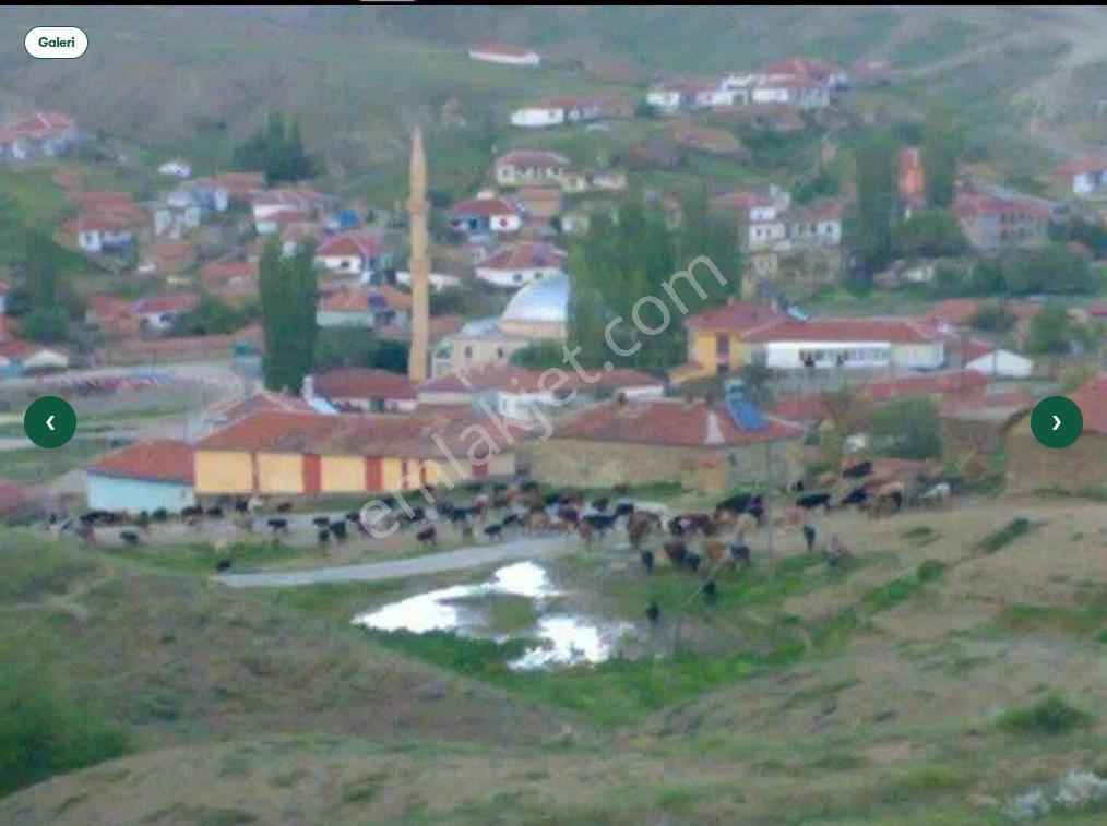 Ankara Haymana Ev Ve Agıl Tapu Sahibi Perta Emlak Ümit Tahmaz - Görsel 23