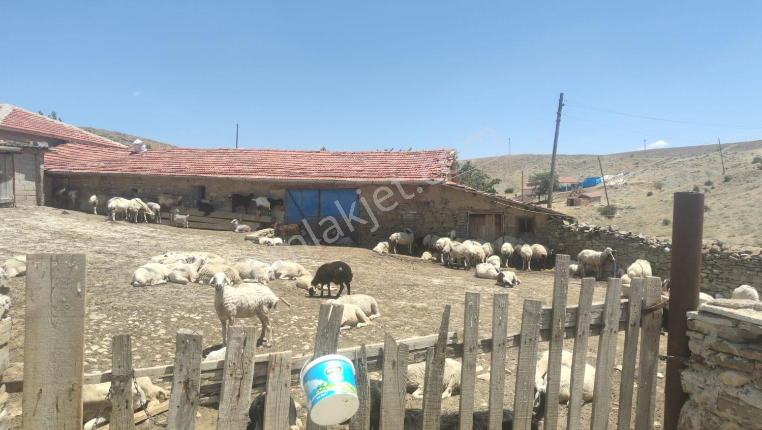 Ankara Haymana Ev Ve Agıl Tapu Sahibi Perta Emlak Ümit Tahmaz - Görsel 6