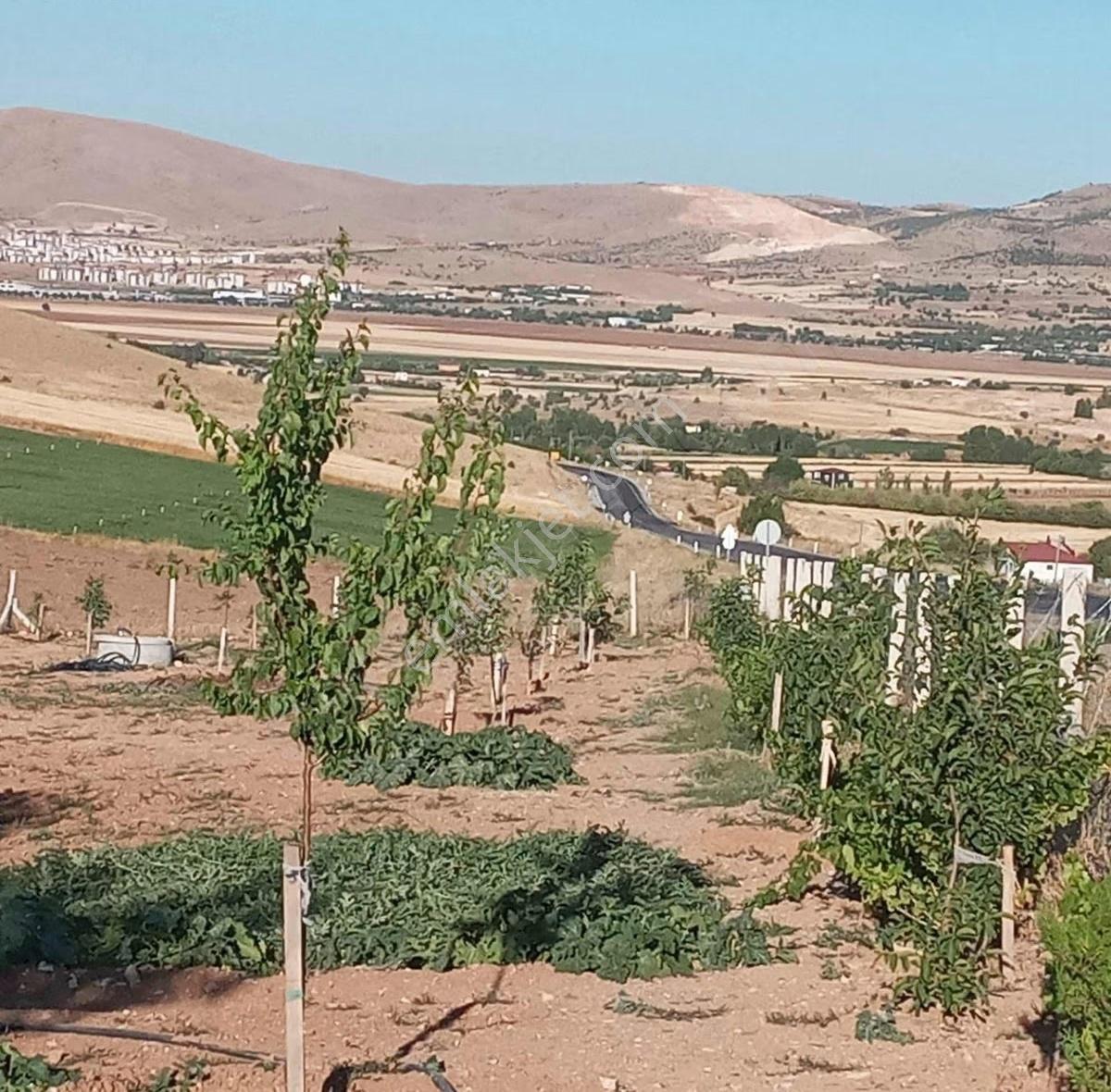 Kaçırılmayacak Fırsat Yatırım Ve Yaşam Bir Arada - Görsel 15