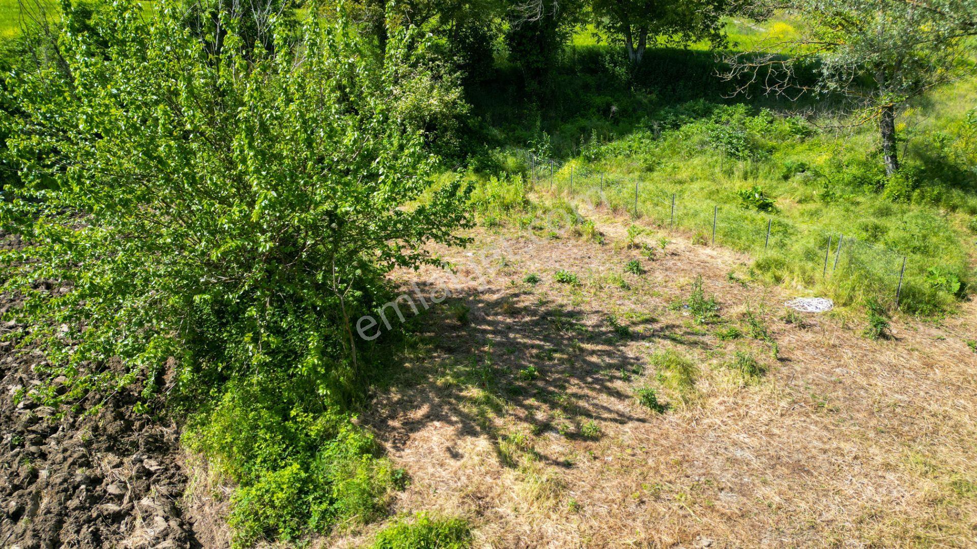 Karamürsel Yalakdere Satılık Dere Kenarı 826 M2 Bahçe - Görsel 12