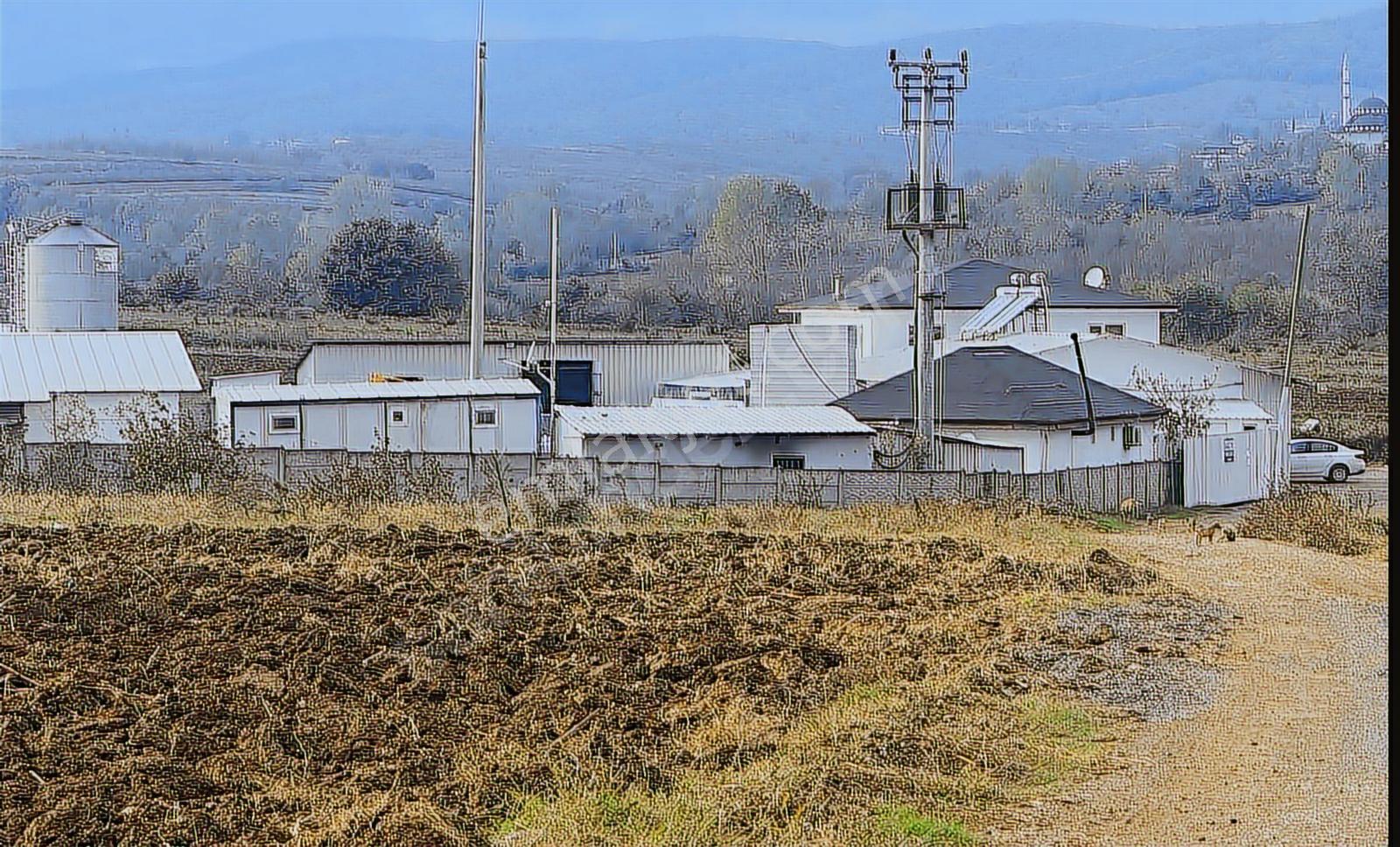 Sakarya Söğütlü Sanayi İmar Sınırında Mega Osb Genişleme Alanı - Görsel 6