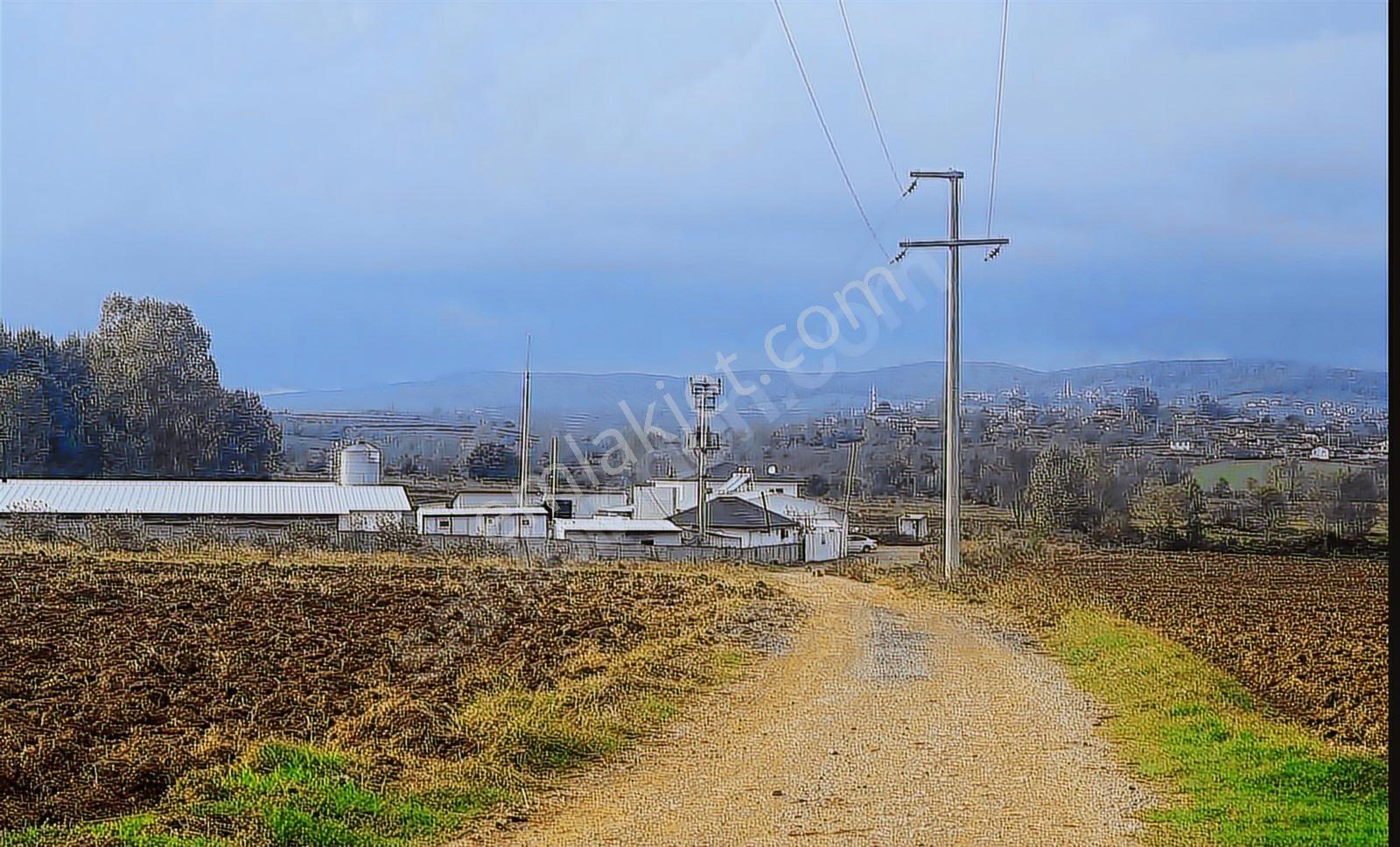 Sakarya Söğütlü Sanayi İmar Sınırında Mega Osb Genişleme Alanı - Görsel 9