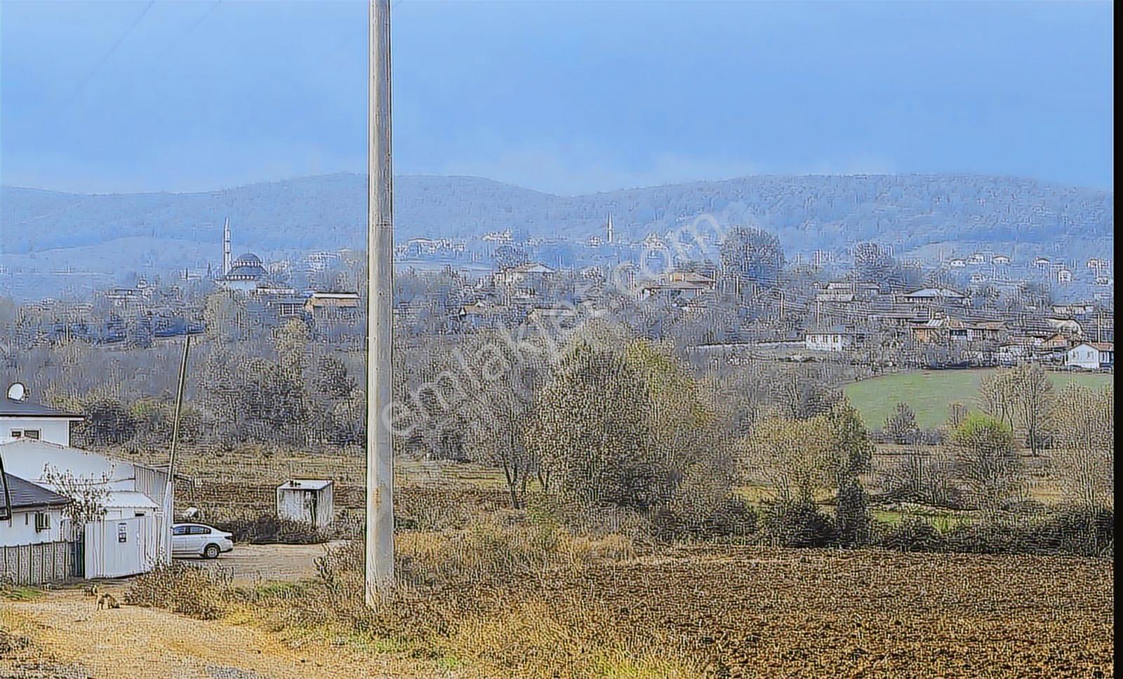 Sakarya Söğütlü Sanayi İmar Sınırında Mega Osb Genişleme Alanı - Görsel 3
