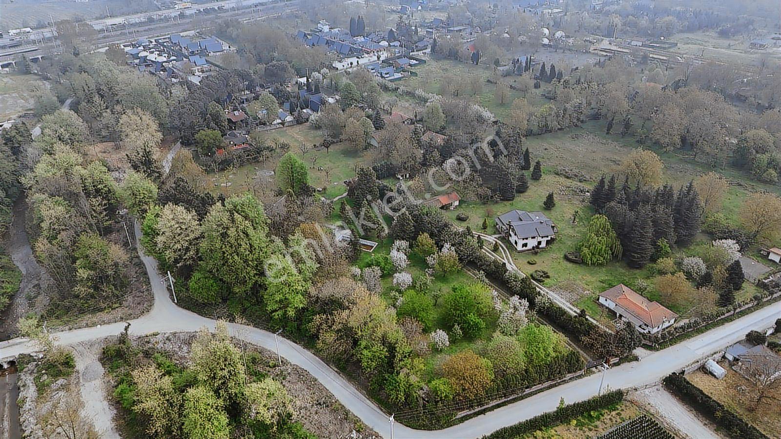 Sapanca Yanık Mevkinde Satılık Çiftlik 19116 M2 - Görsel 12