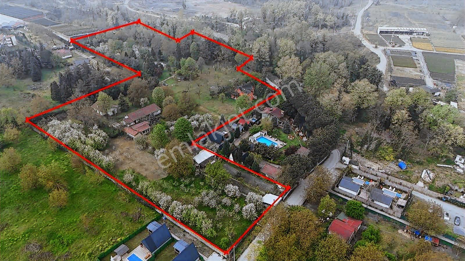 Sapanca Yanık Mevkinde Satılık Çiftlik 19116 M2 - Görsel 32