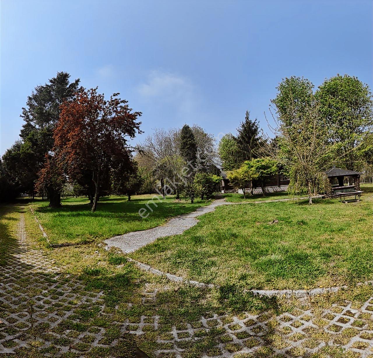Sapanca Yanık Mevkinde Satılık Çiftlik 19116 M2 - Görsel 8
