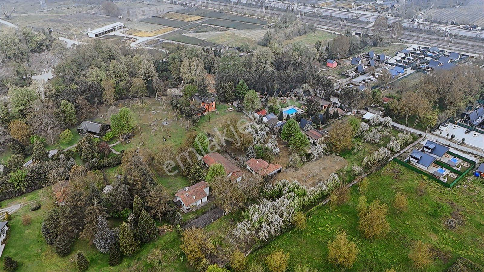 Sapanca Yanık Mevkinde Satılık Çiftlik 19116 M2 - Görsel 24