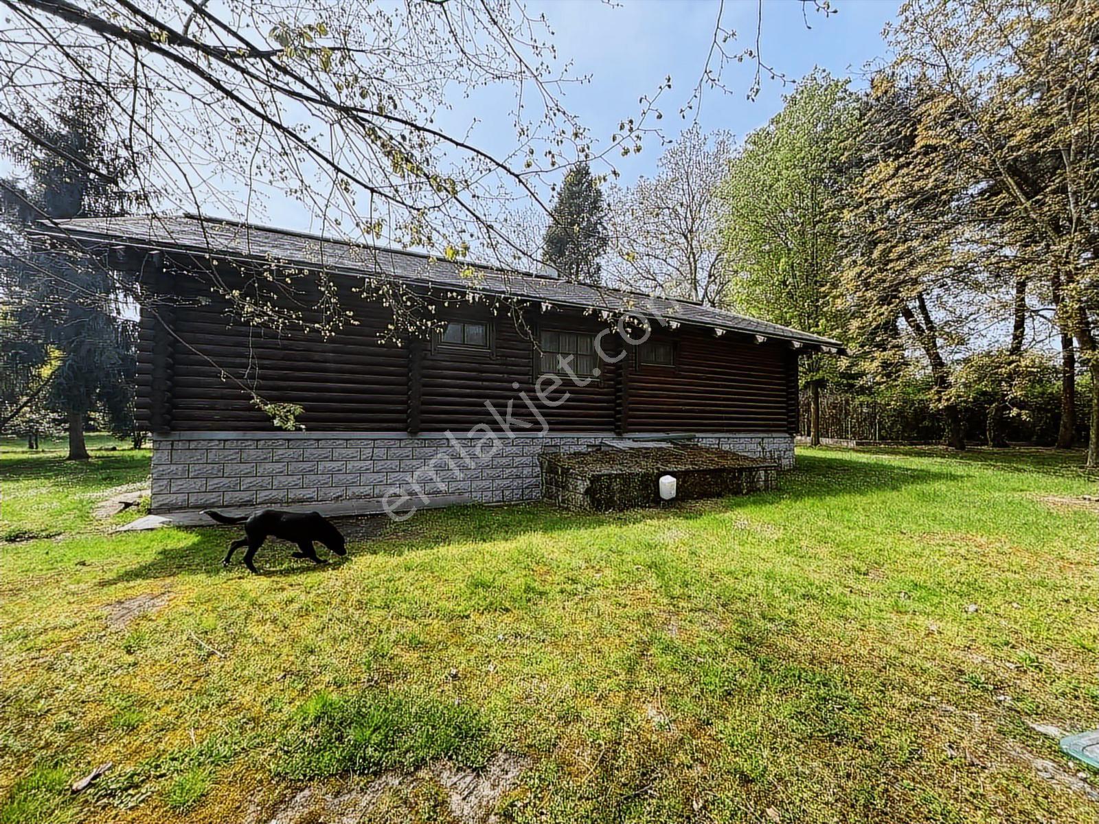 Sapanca Yanık Mevkinde Satılık Çiftlik 19116 M2 - Görsel 16