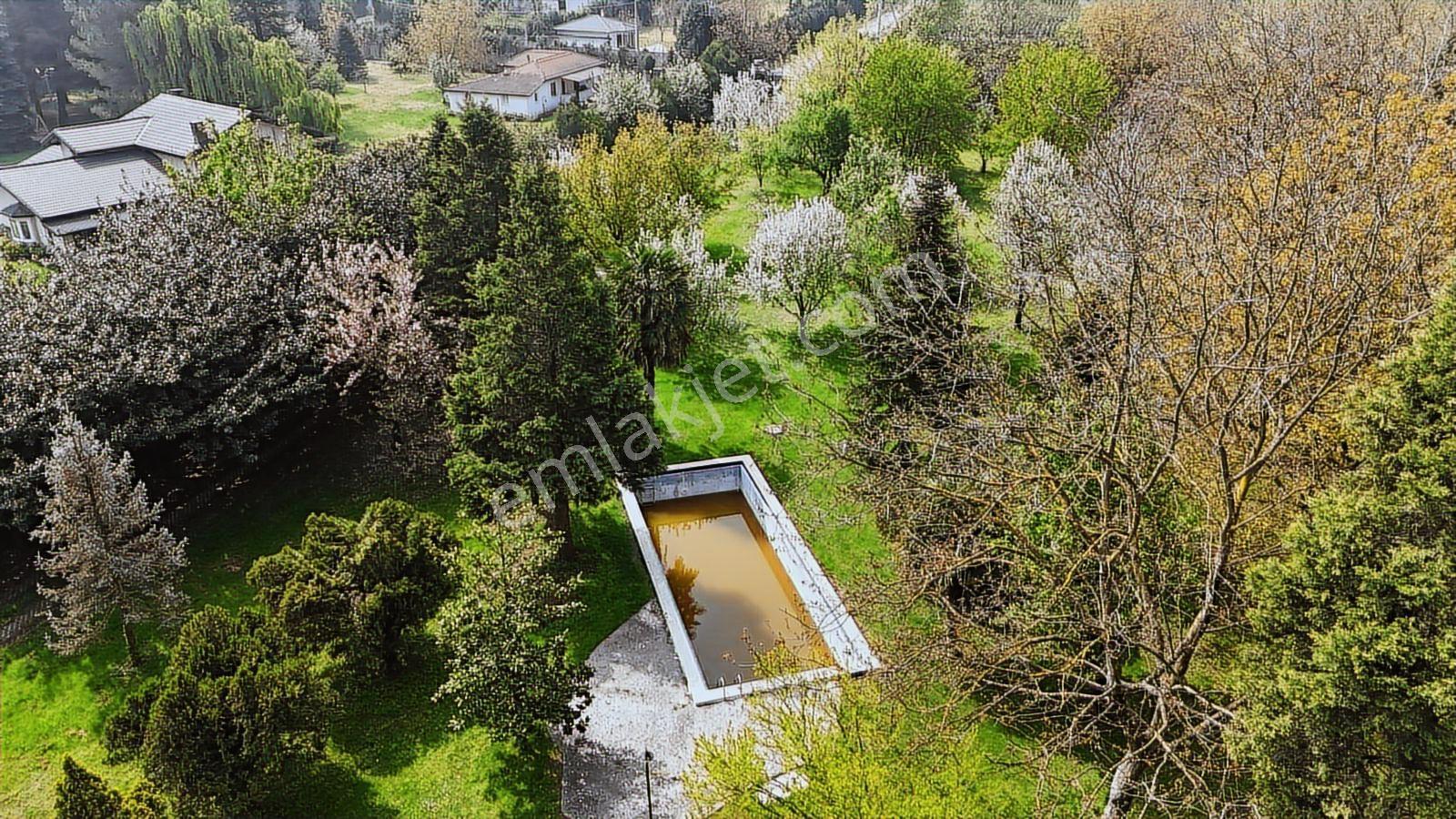 Sapanca Yanık Mevkinde Satılık Çiftlik 19116 M2 - Görsel 21