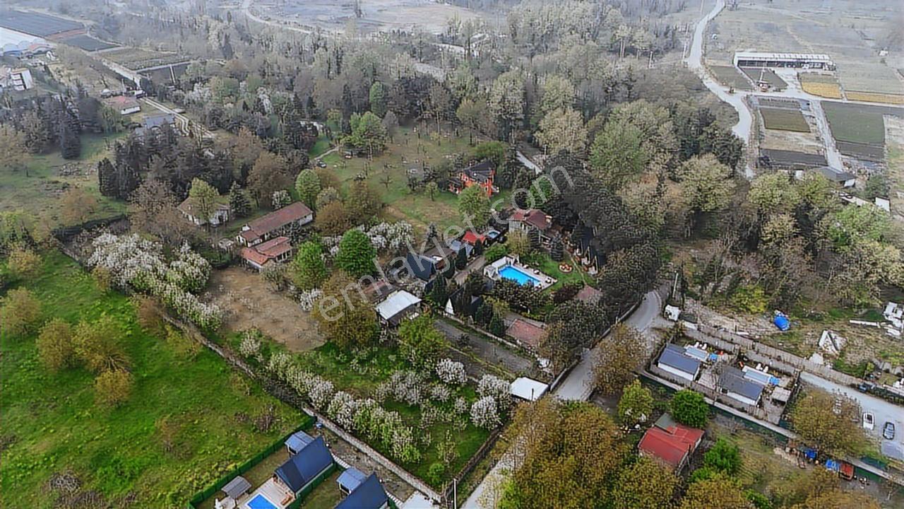 Sapanca Yanık Mevkinde Satılık Çiftlik 19116 M2 - Görsel 11