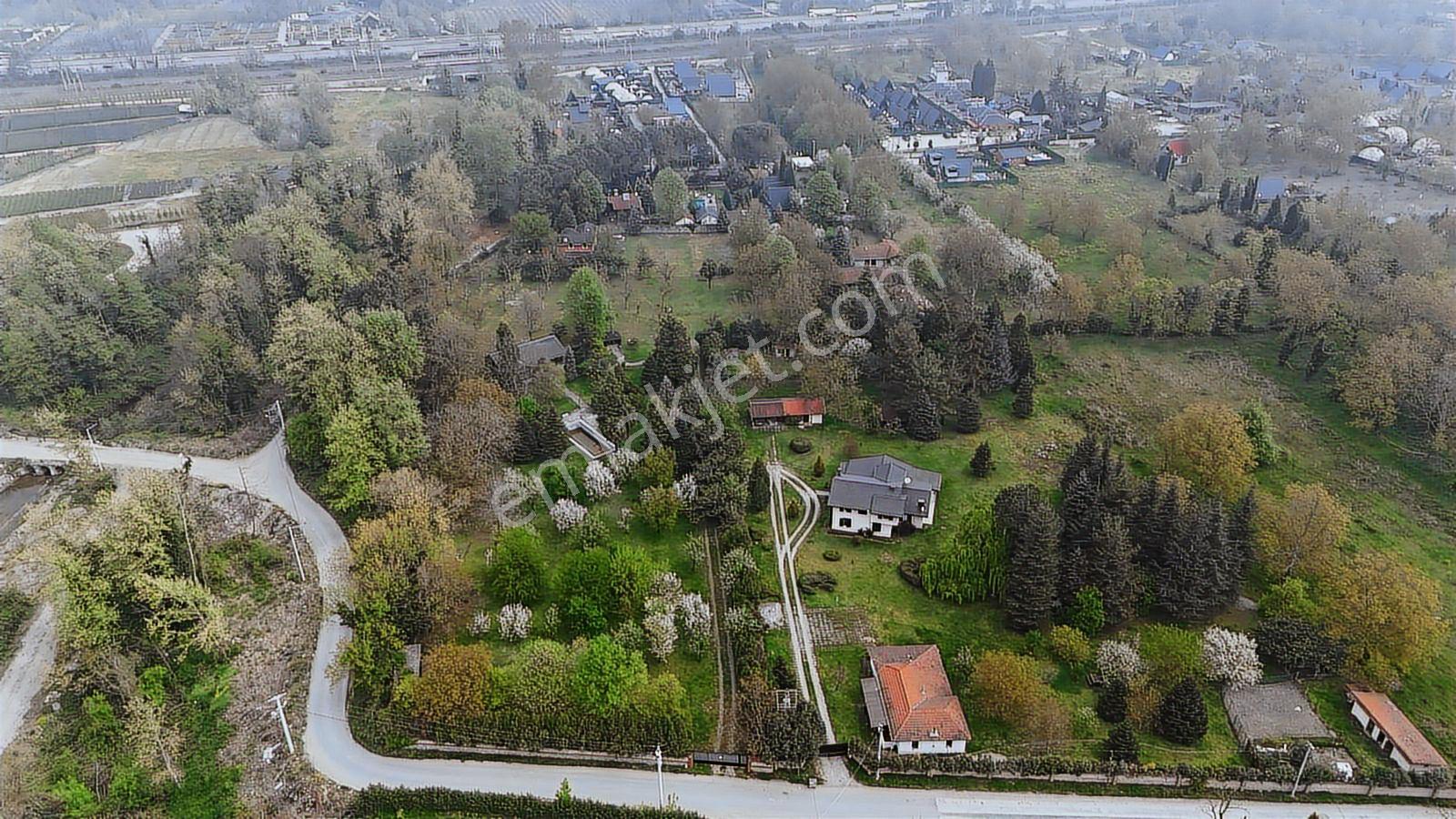 Sapanca Yanık Mevkinde Satılık Çiftlik 19116 M2 - Görsel 22
