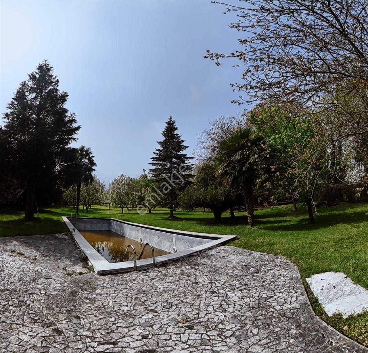 Sapanca Yanık Mevkinde Satılık Çiftlik 19116 M2 - Görsel 14