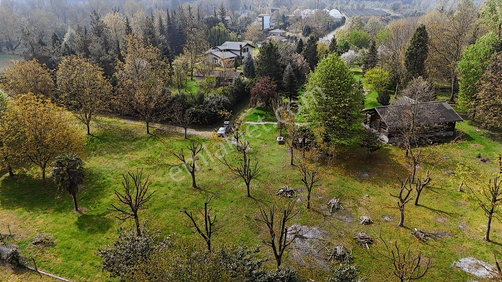 Sapanca Yanık Mevkinde Satılık Çiftlik 19116 M2 - Görsel 28