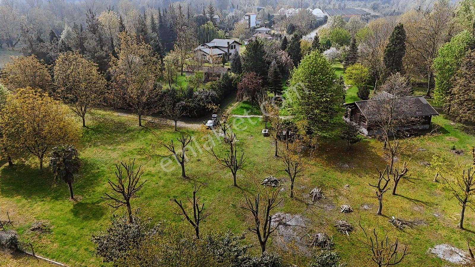 Sapanca Yanık Mevkinde Satılık Çiftlik 19116 M2 - Görsel 11