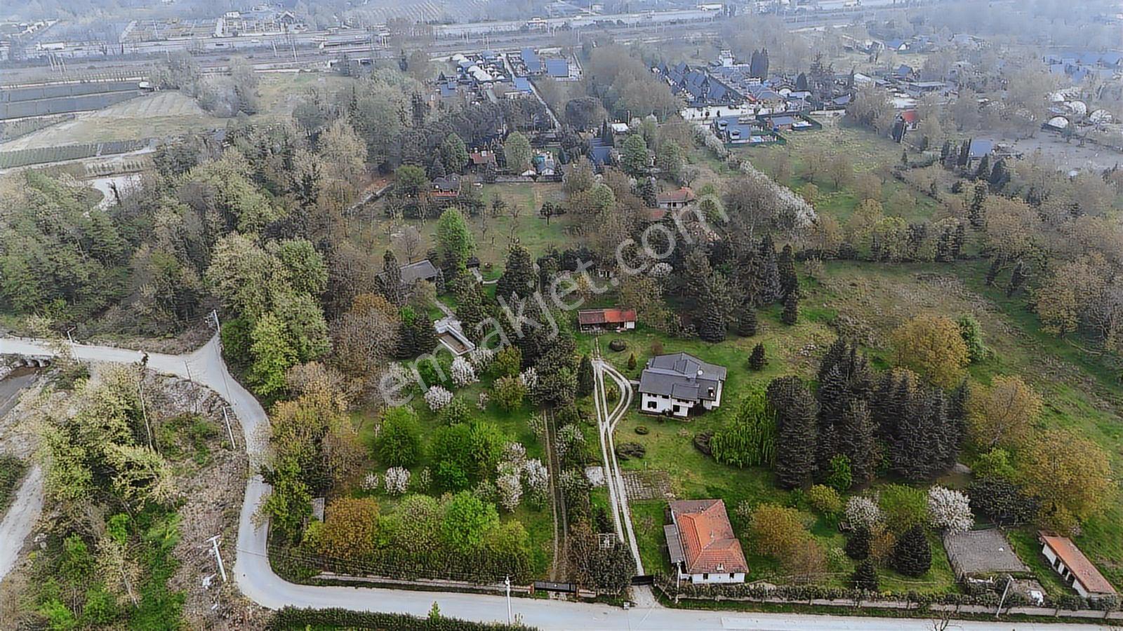 Sapanca Yanık Mevkinde Satılık Çiftlik 19116 M2 - Görsel 23