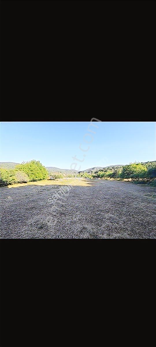 Şile Satmazlı'da Satılık İmarlı Arsa - Görsel 21