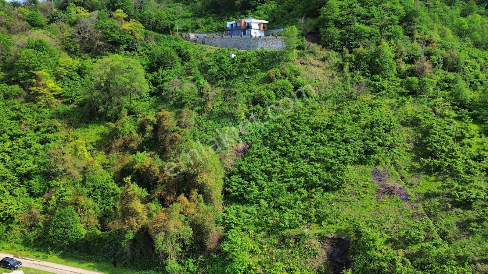 Trabzon Beşikdüzünde Satılık Deniz Manzaralı Arazi - Görsel 8