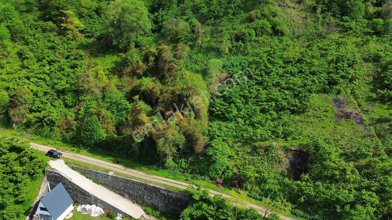 Trabzon Beşikdüzünde Satılık Deniz Manzaralı Arazi - Görsel 3
