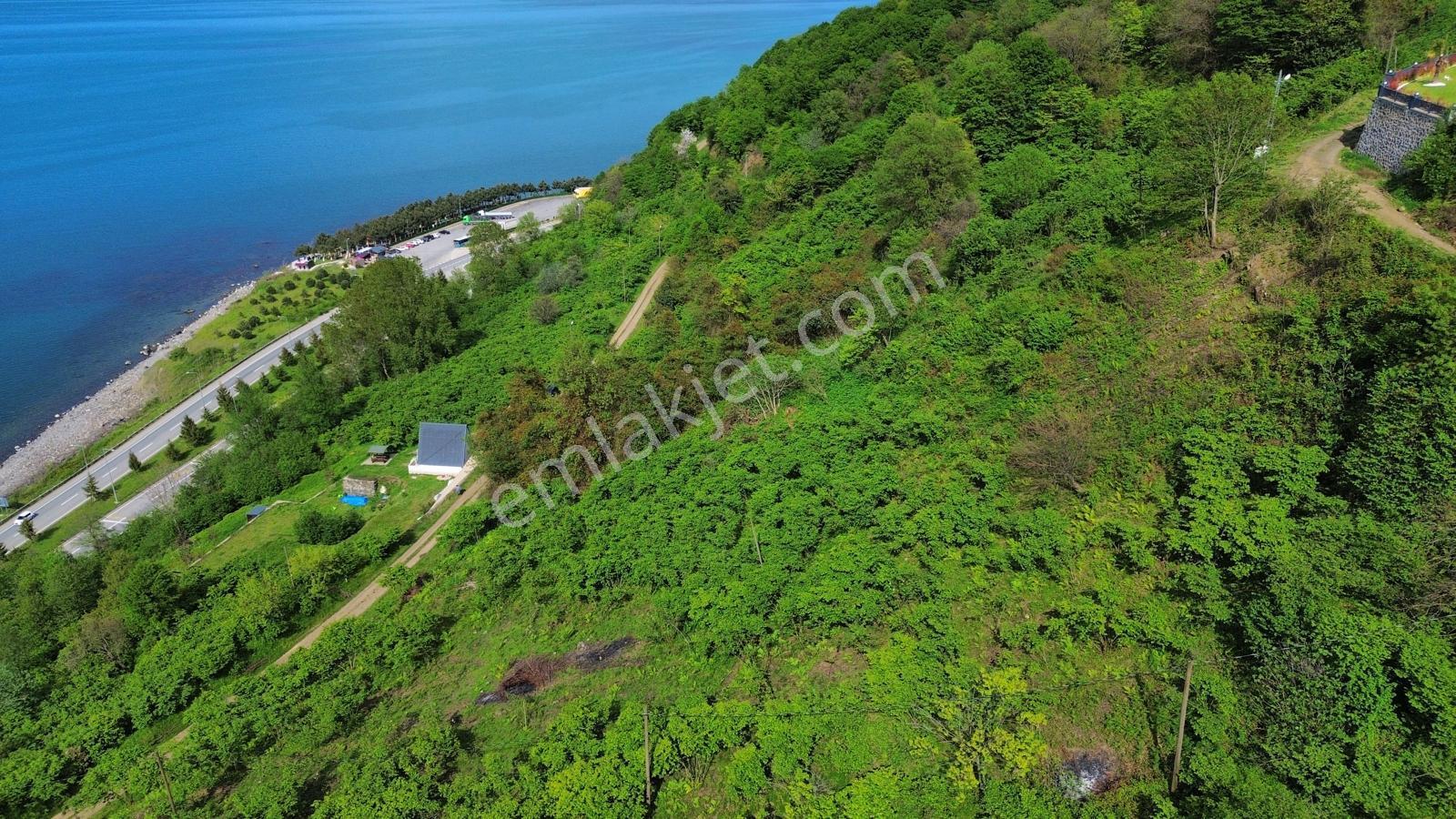 Trabzon Beşikdüzünde Satılık Deniz Manzaralı Arazi - Görsel 32