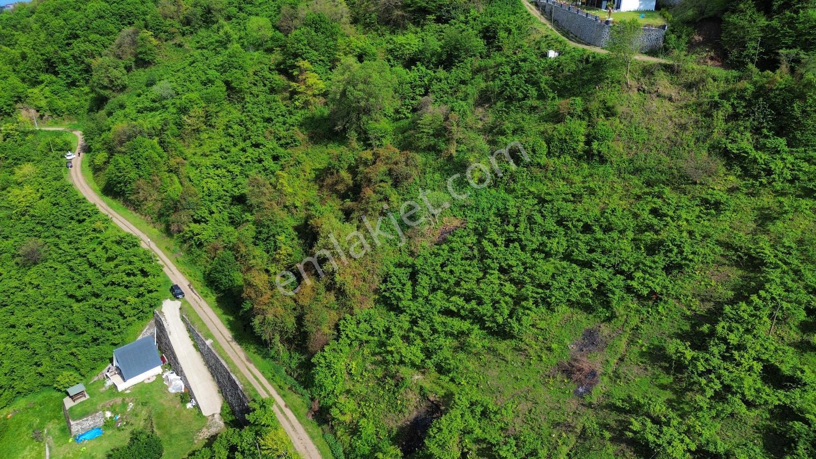 Trabzon Beşikdüzünde Satılık Deniz Manzaralı Arazi - Görsel 31
