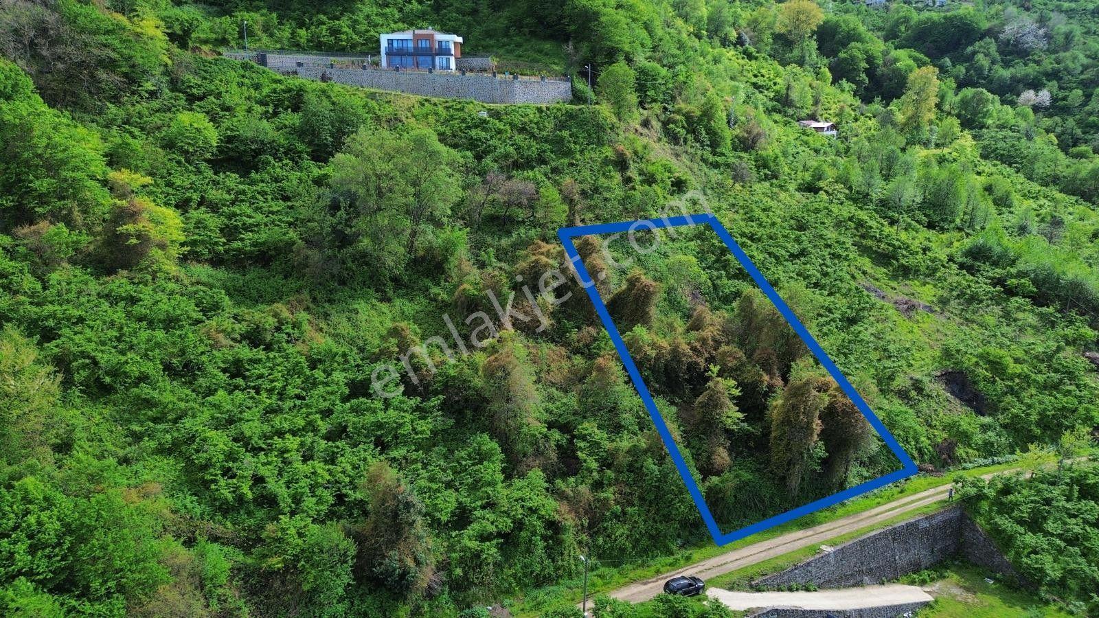 Trabzon Beşikdüzünde Satılık Deniz Manzaralı Arazi - Görsel 12