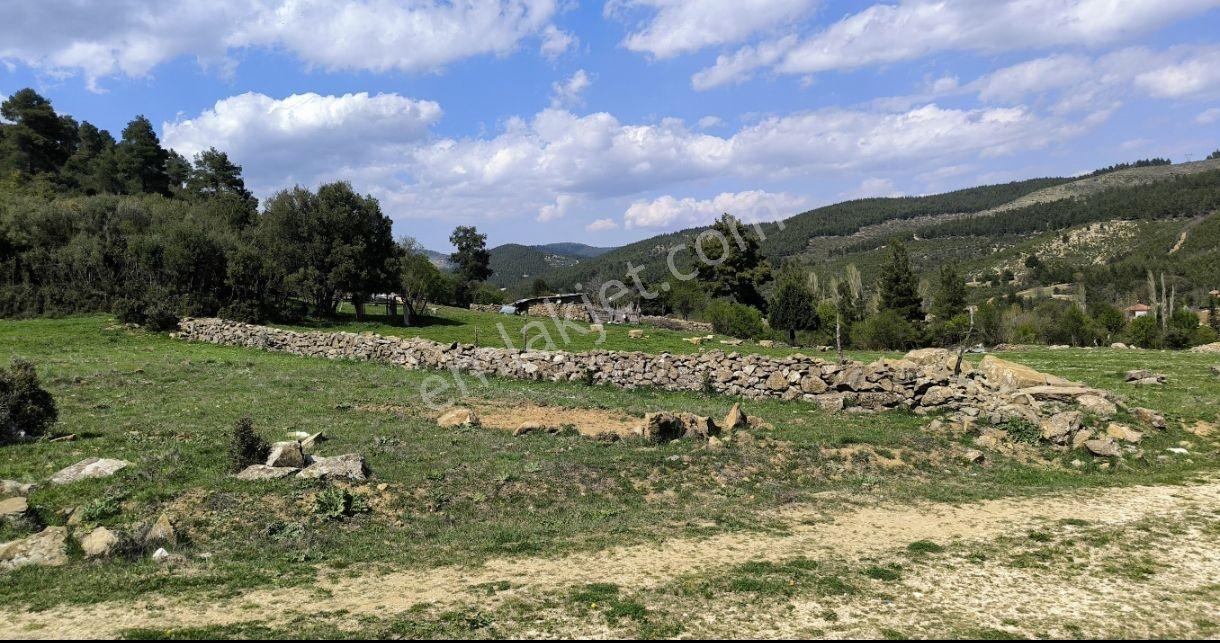 Şehirden Uzaklaşmadan Doğayla Baş Başa Yaşam Fırsatı... - Görsel 6