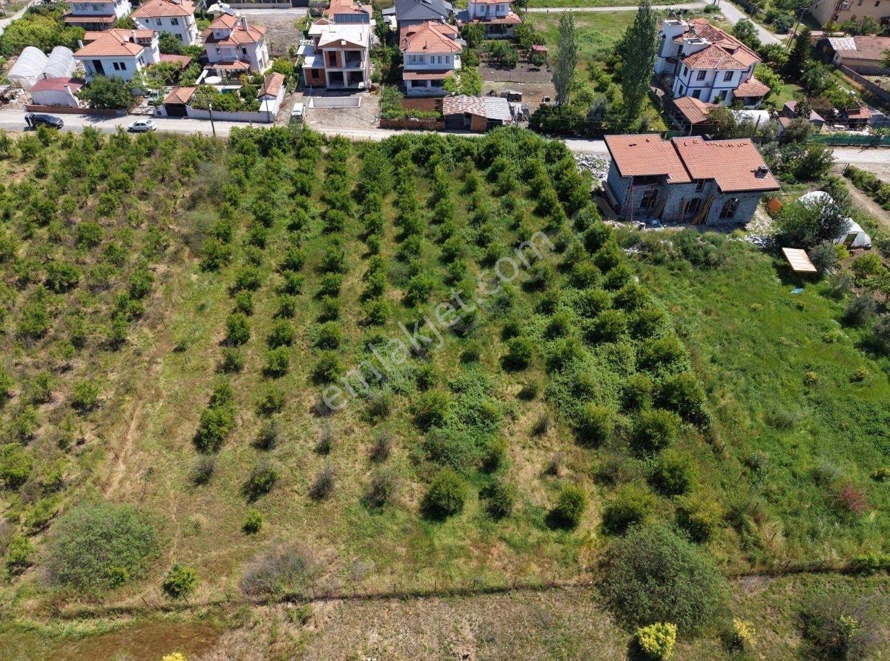 Ortaca'da Satılık Bitişik 2 Parsel İmarlı Arsa - Görsel 11