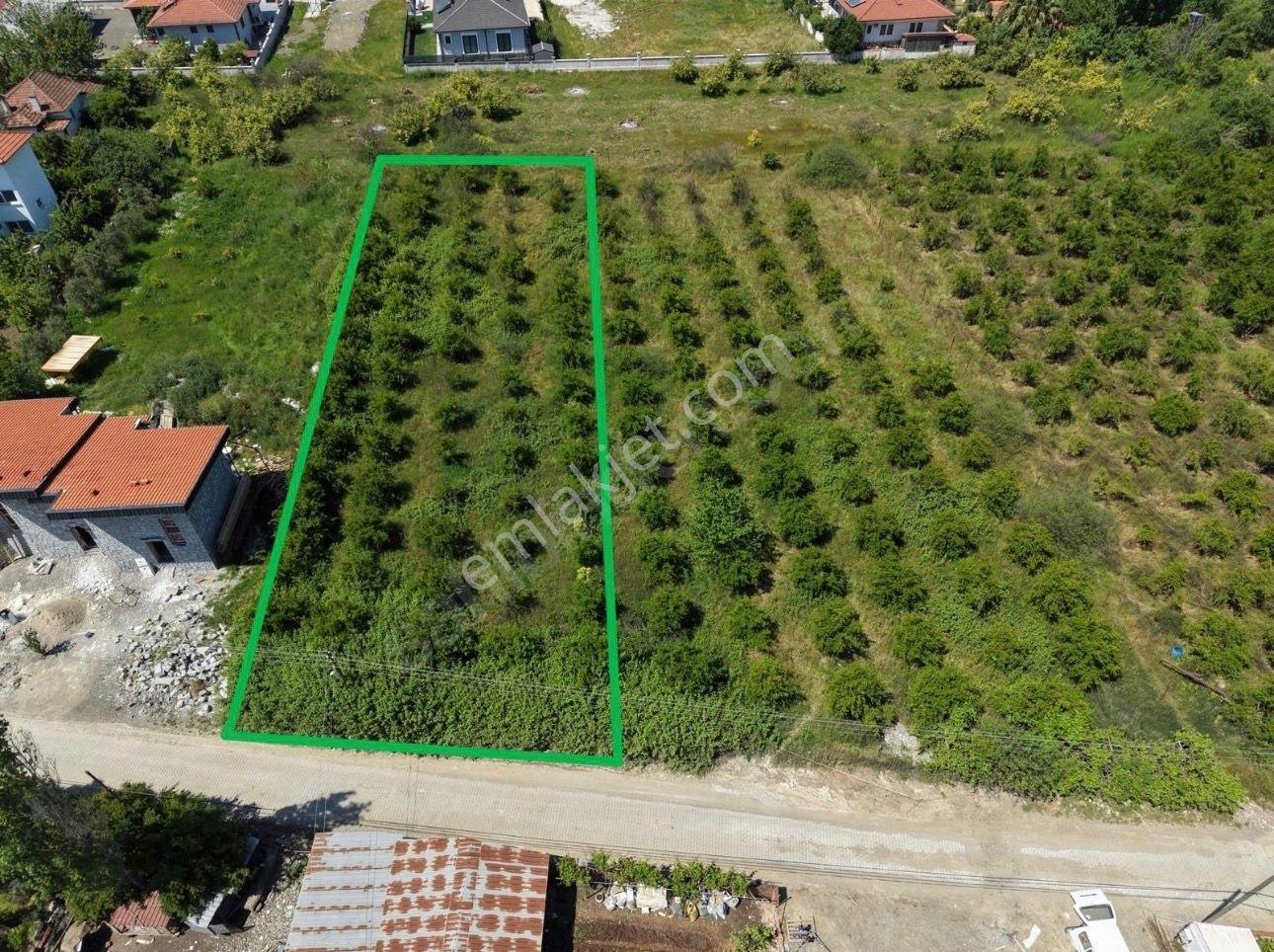Ortaca'da Satılık Bitişik 2 Parsel İmarlı Arsa - Görsel 3