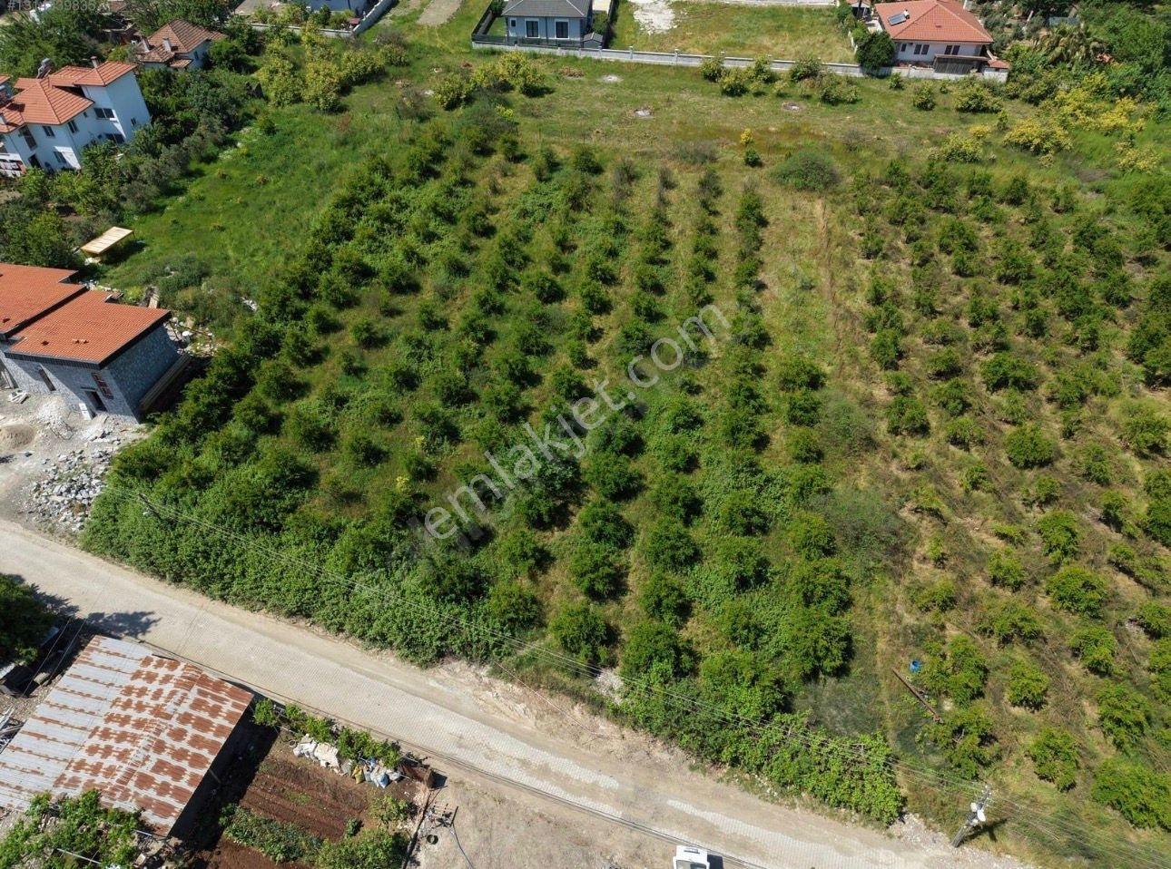 Ortaca'da Satılık Bitişik 2 Parsel İmarlı Arsa - Görsel 2