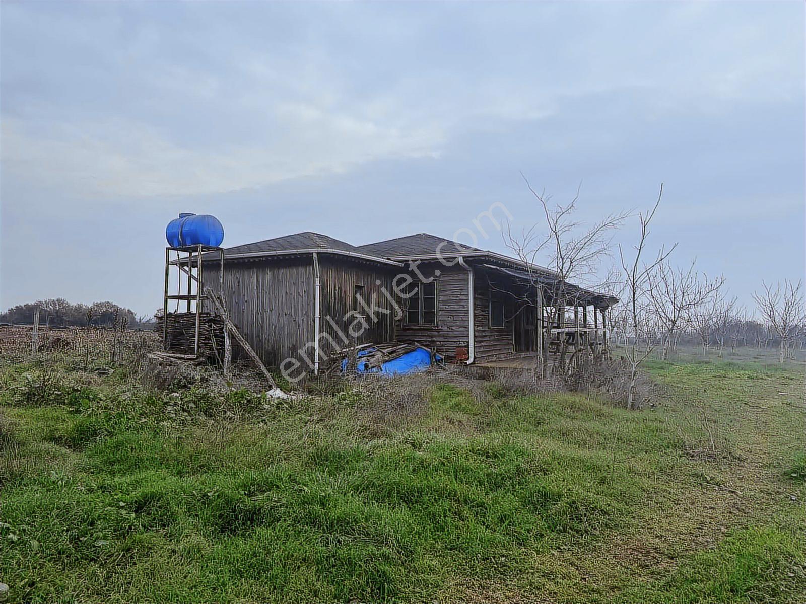 Remax Area Dan Satılık 22525 M2 Ceviz Bahçesi Ve Ev - Görsel 15