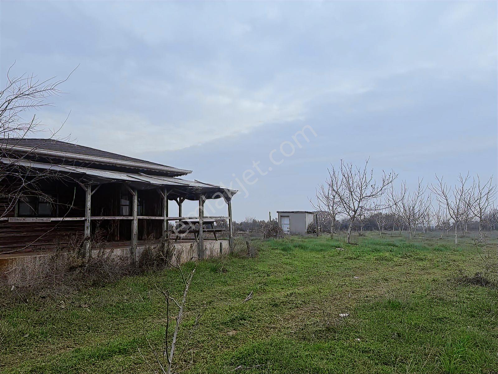 Remax Area Dan Satılık 22525 M2 Ceviz Bahçesi Ve Ev
