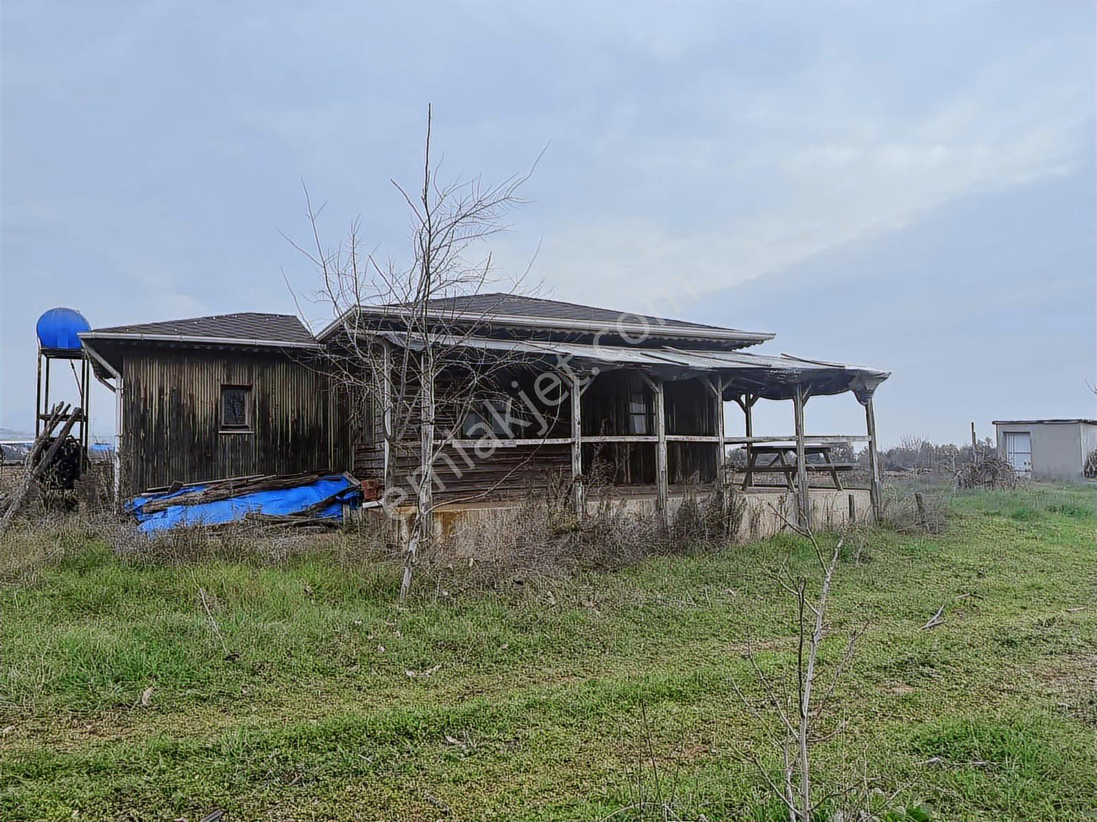 Remax Area Dan Satılık 22525 M2 Ceviz Bahçesi Ve Ev - Görsel 2