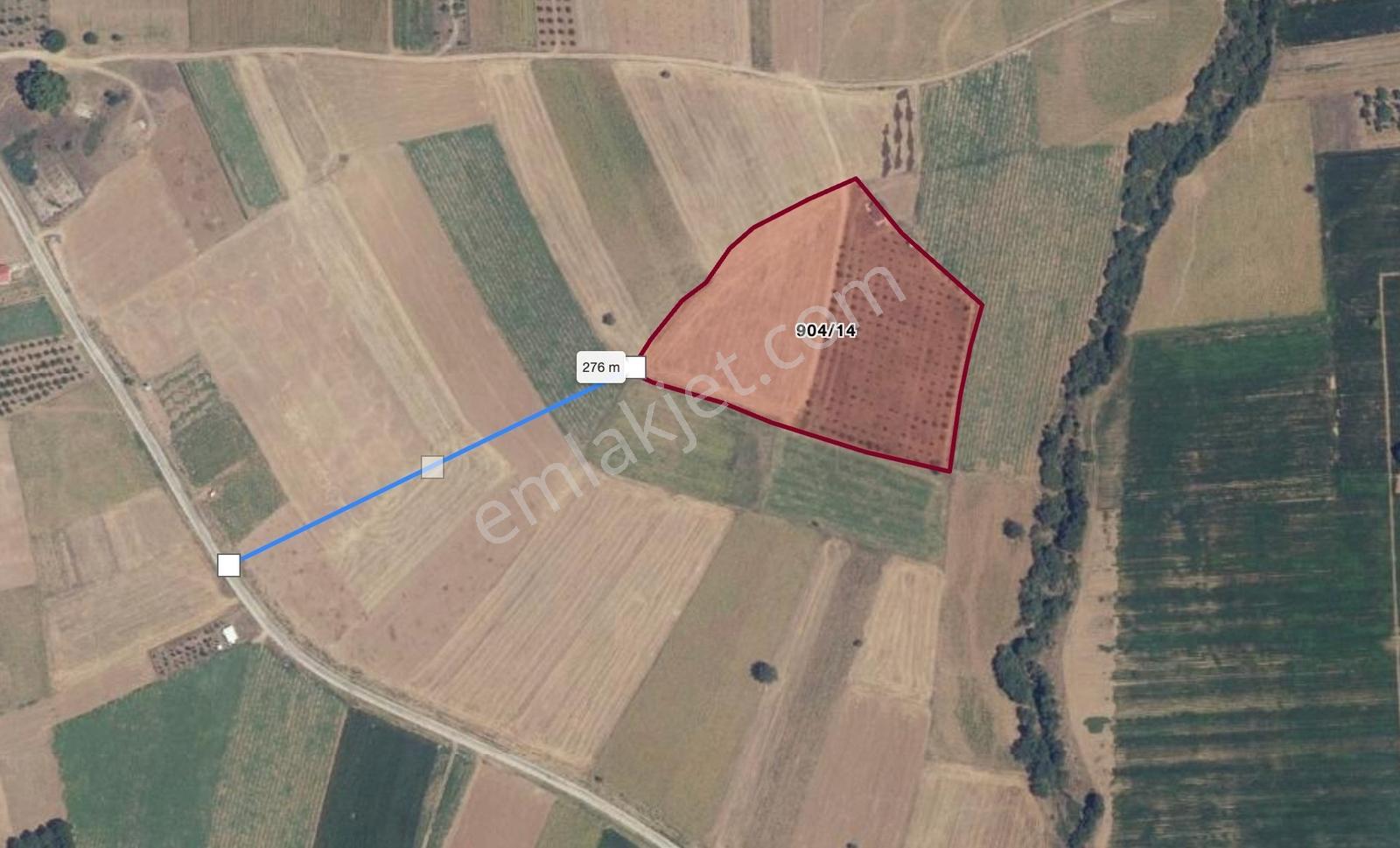 Remax Area Dan Satılık 22525 M2 Ceviz Bahçesi Ve Ev - Görsel 9