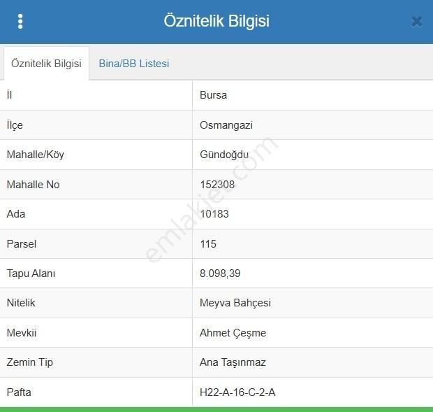 Remax Area'dan Gündoğdu'da Yatırımlık 1.156 M2 Bağ & Bahçe - Görsel 12