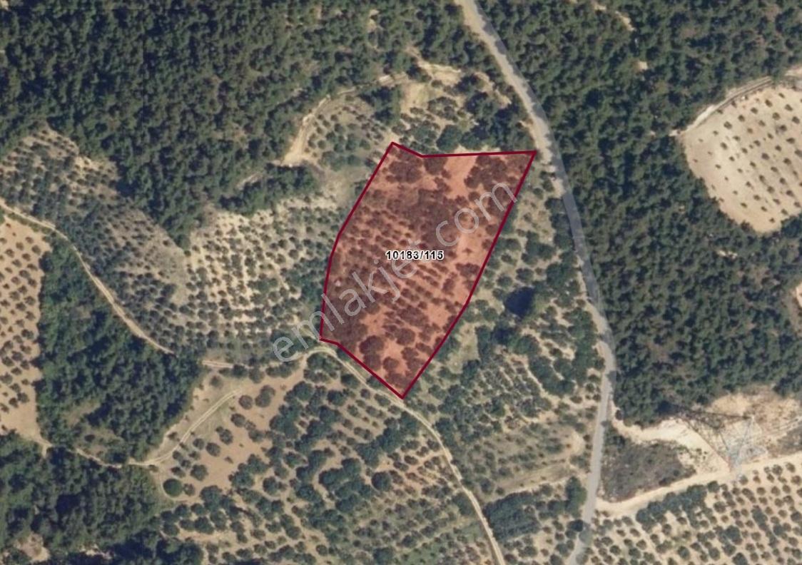 Remax Area'dan Gündoğdu'da Yatırımlık 1.156 M2 Bağ & Bahçe - Görsel 13
