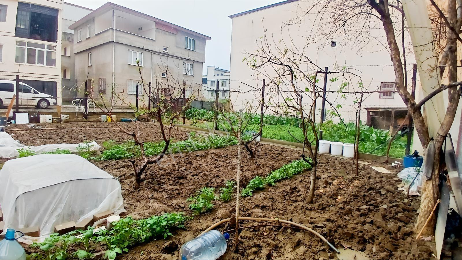 Remax Area Yıldırım Kazımkarabekir Mh Müstakil Tapulu Arsa 126m² - Görsel 3