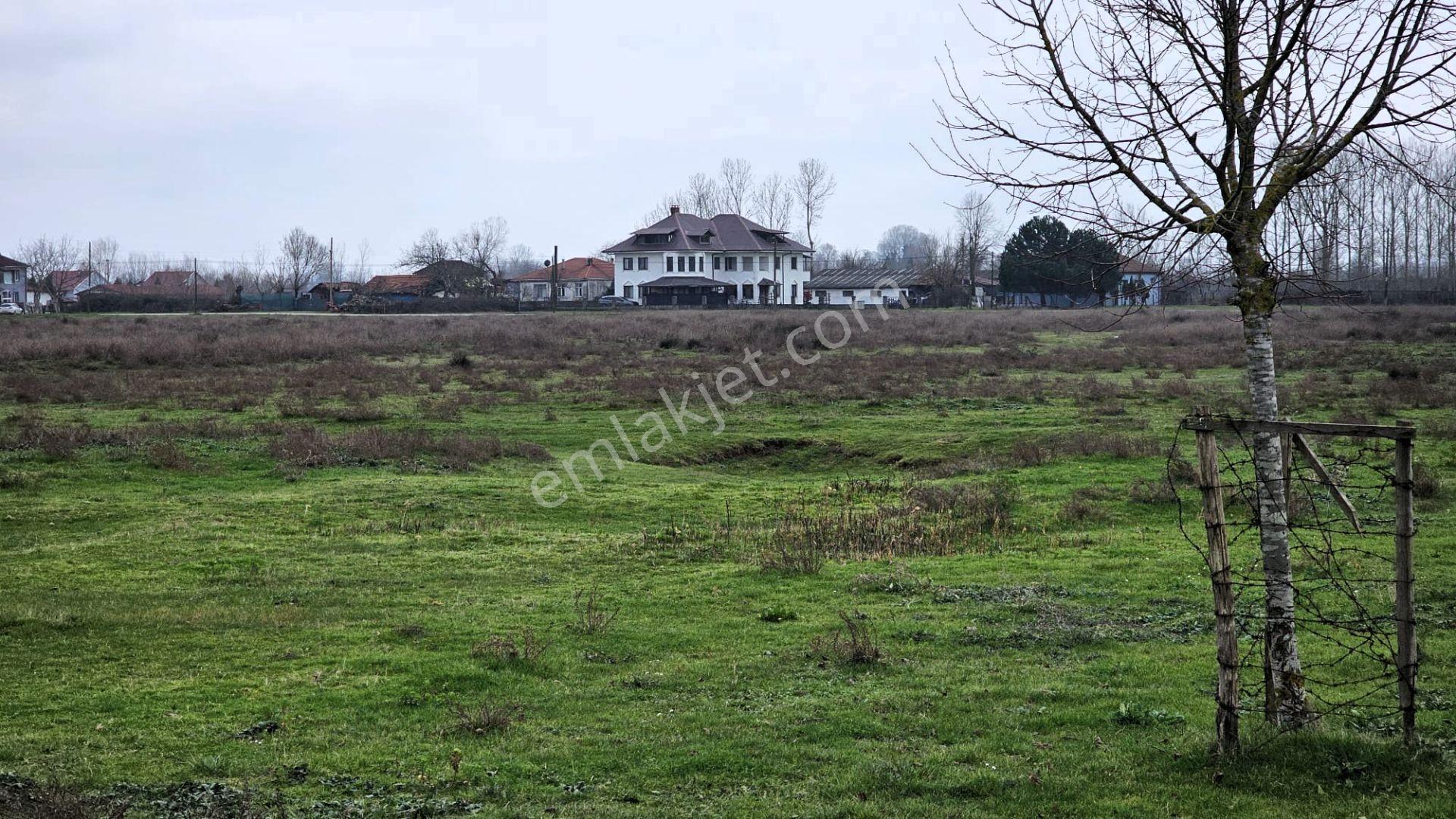 Sakarya Merkeze 22 Dk Mesafede Maksudiyede Hobi Bahçesi - Görsel 20
