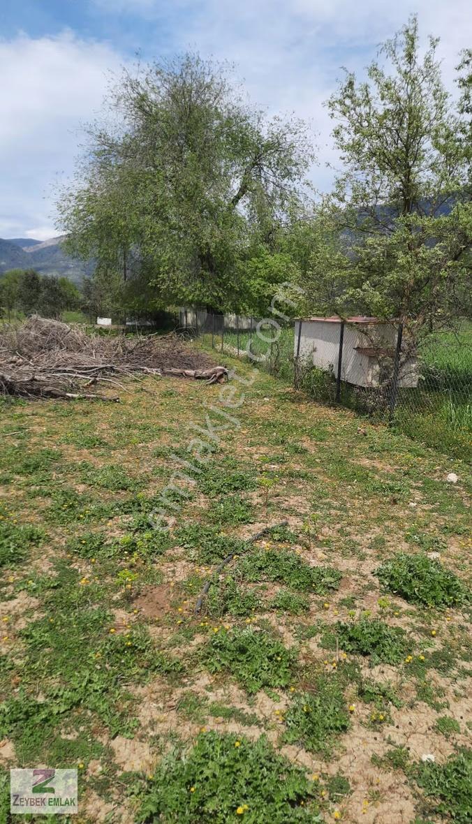 Fethiye Yeşil Üzümlü De Müstakil Satılık Tarla - Görsel 13
