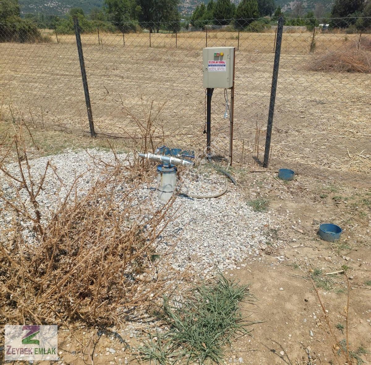 Fethiye Yeşil Üzümlü De Müstakil Satılık Tarla - Görsel 4