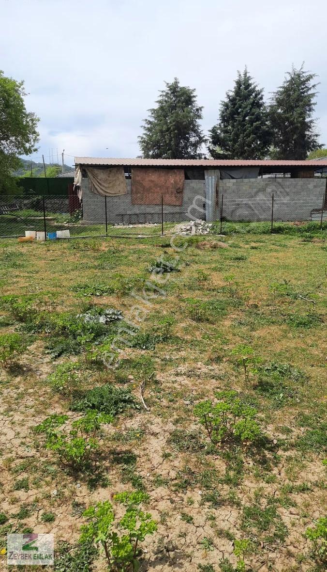 Fethiye Yeşil Üzümlü De Müstakil Satılık Tarla - Görsel 19