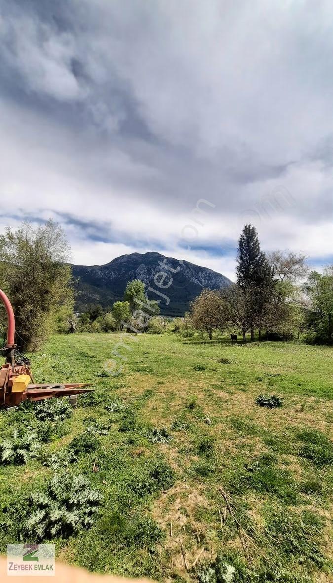 Fethiye Yeşil Üzümlü De Müstakil Satılık Tarla - Görsel 10