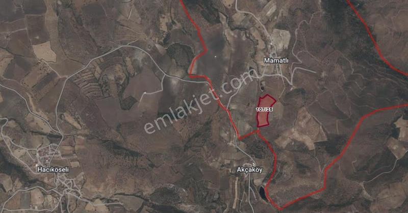Mamatlı Mahallesinde 27.187 M2 Satılık Zeytin Ve İncir Tarlası - Görsel 5