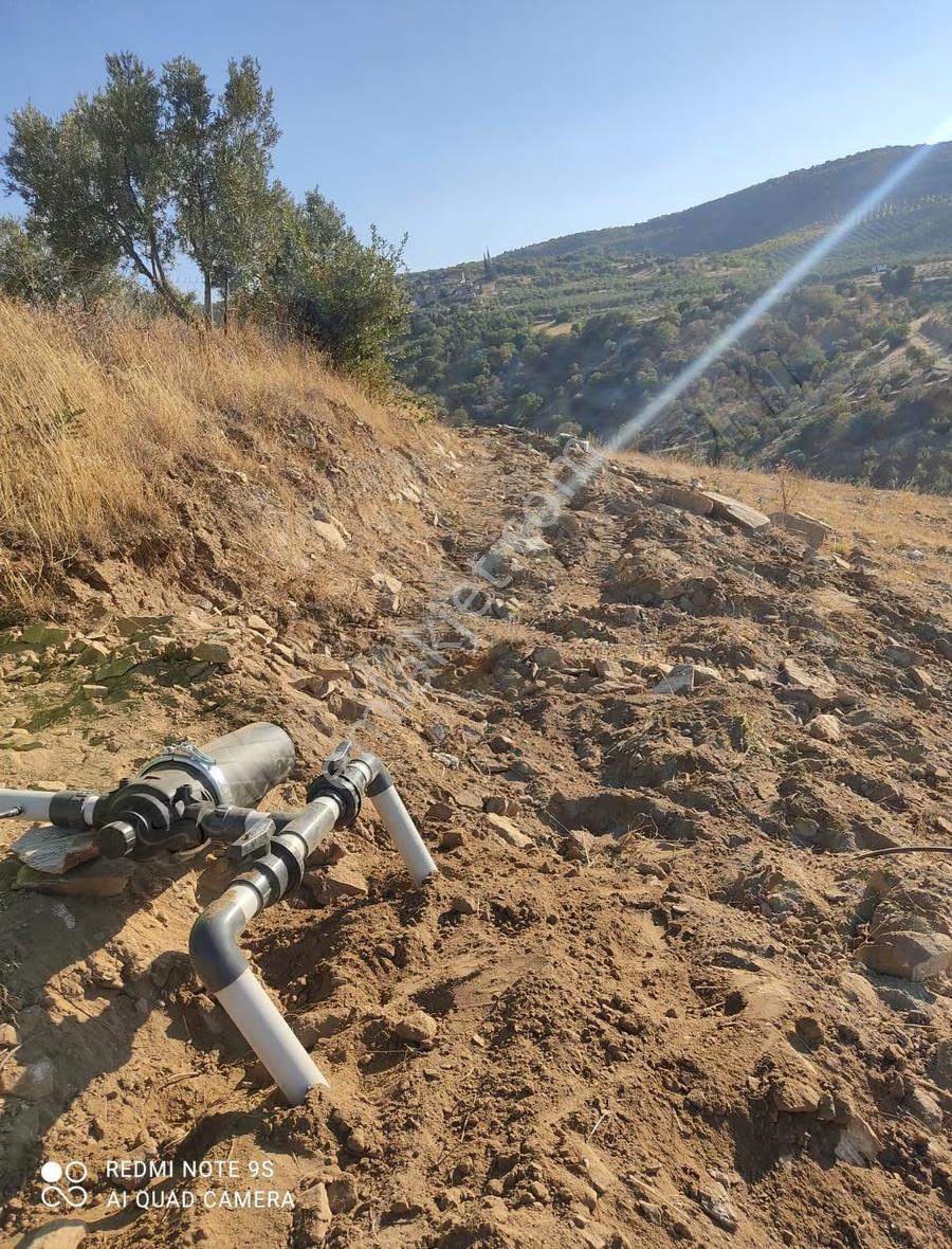 Mamatlı Mahallesinde 27.187 M2 Satılık Zeytin Ve İncir Tarlası - Görsel 27