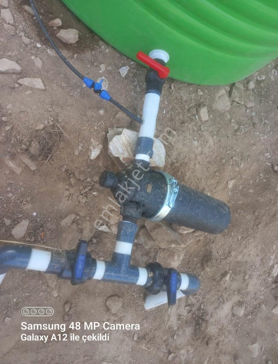 Mamatlı Mahallesinde 27.187 M2 Satılık Zeytin Ve İncir Tarlası - Görsel 21