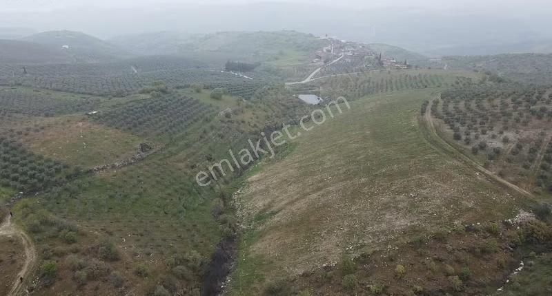 Mamatlı Mahallesinde 27.187 M2 Satılık Zeytin Ve İncir Tarlası - Görsel 18